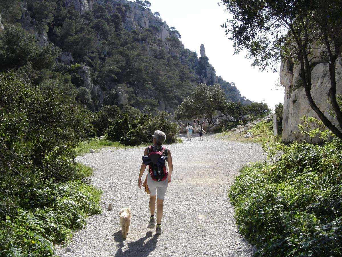 فيلا "Les Tournesols" Saint-Martin-dʼArdèche المظهر الخارجي الصورة